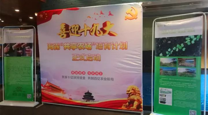 Z6���������ǲ�(�й���)���޹�˾����