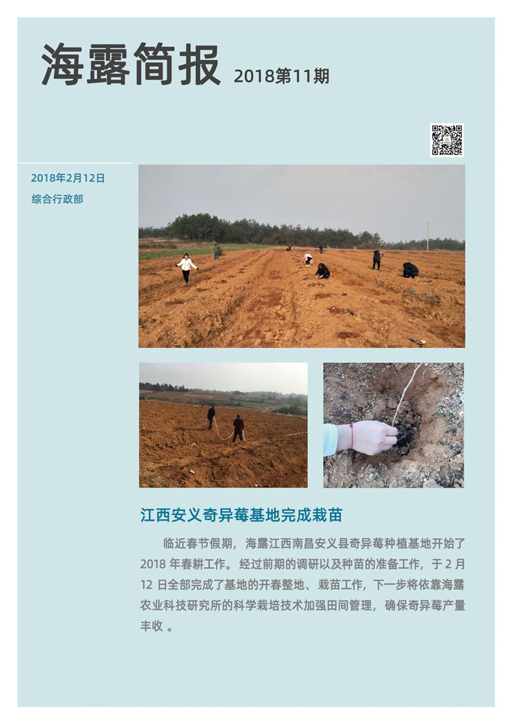 Z6���������ǲ�(�й���)���޹�˾����