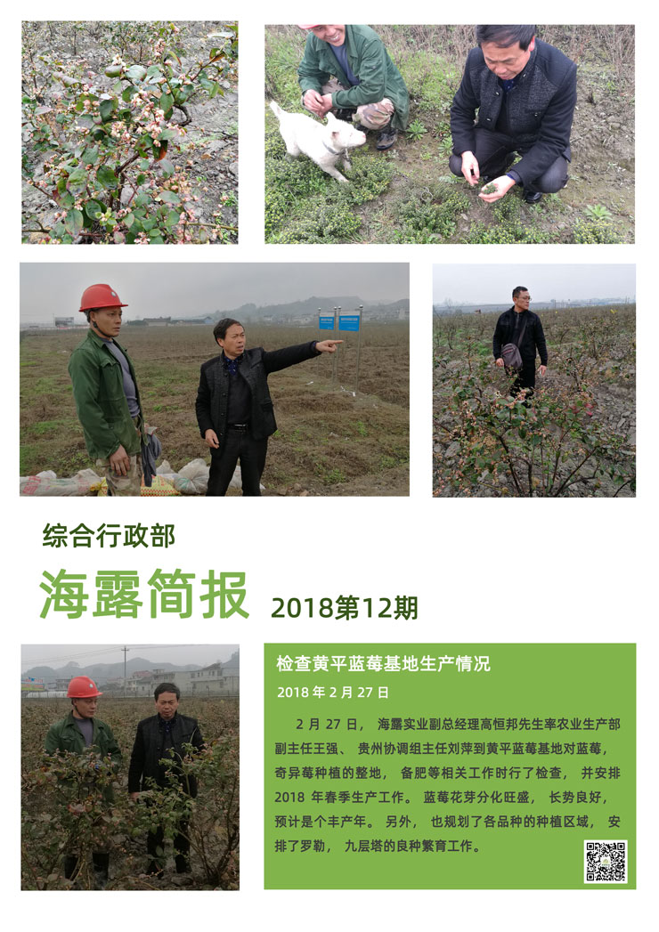 Z6���������ǲ�(�й���)���޹�˾����