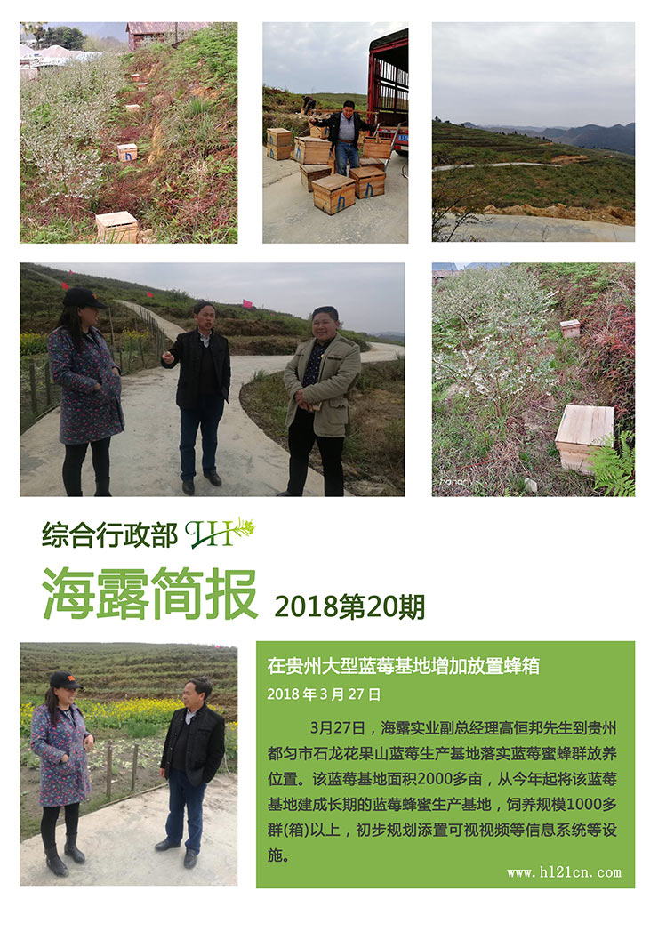 Z6���������ǲ�(�й���)���޹�˾����