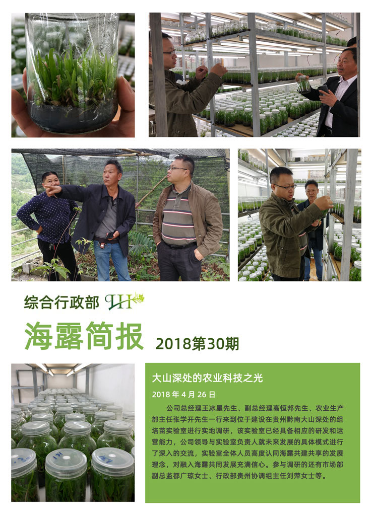 Z6���������ǲ�(�й���)���޹�˾����