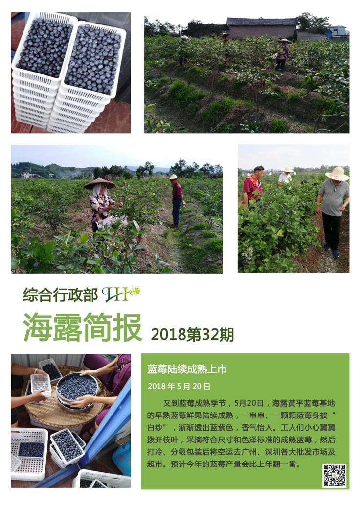 Z6���������ǲ�(�й���)���޹�˾����