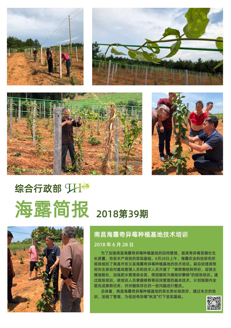 Z6���������ǲ�(�й���)���޹�˾����