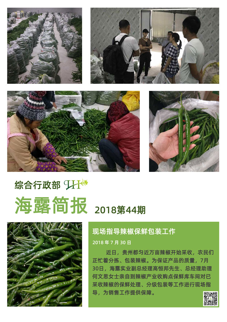 Z6���������ǲ�(�й���)���޹�˾����