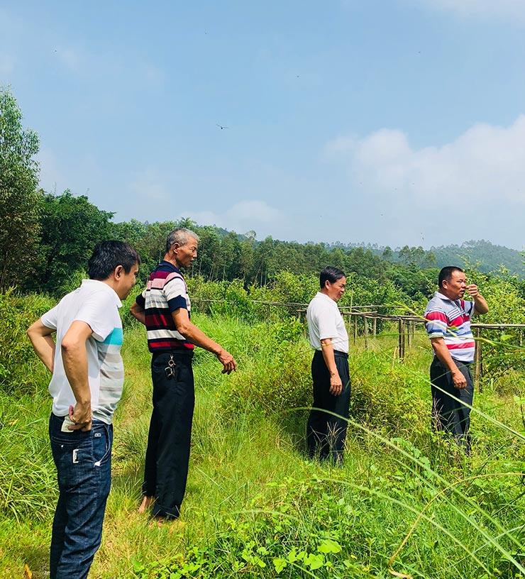 Z6���������ǲ�(�й���)���޹�˾����