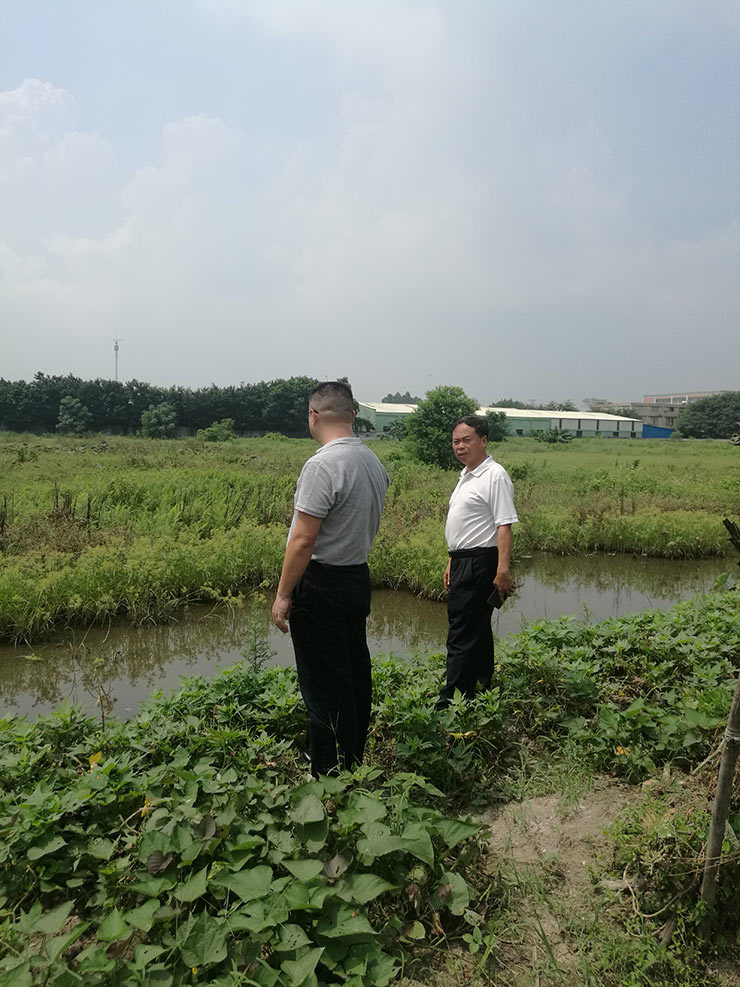 Z6���������ǲ�(�й���)���޹�˾����