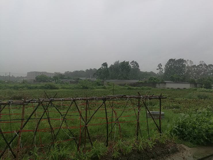 Z6���������ǲ�(�й���)���޹�˾����