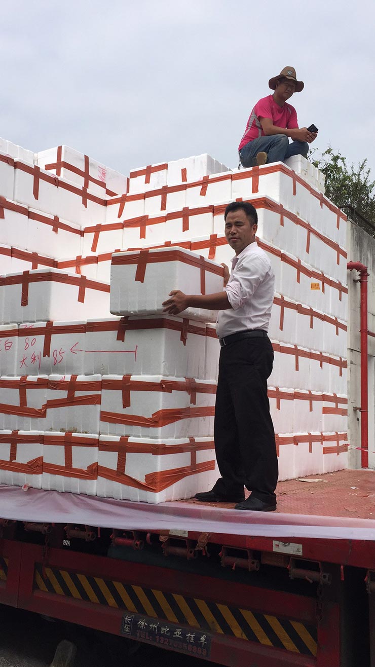 Z6���������ǲ�(�й���)���޹�˾����