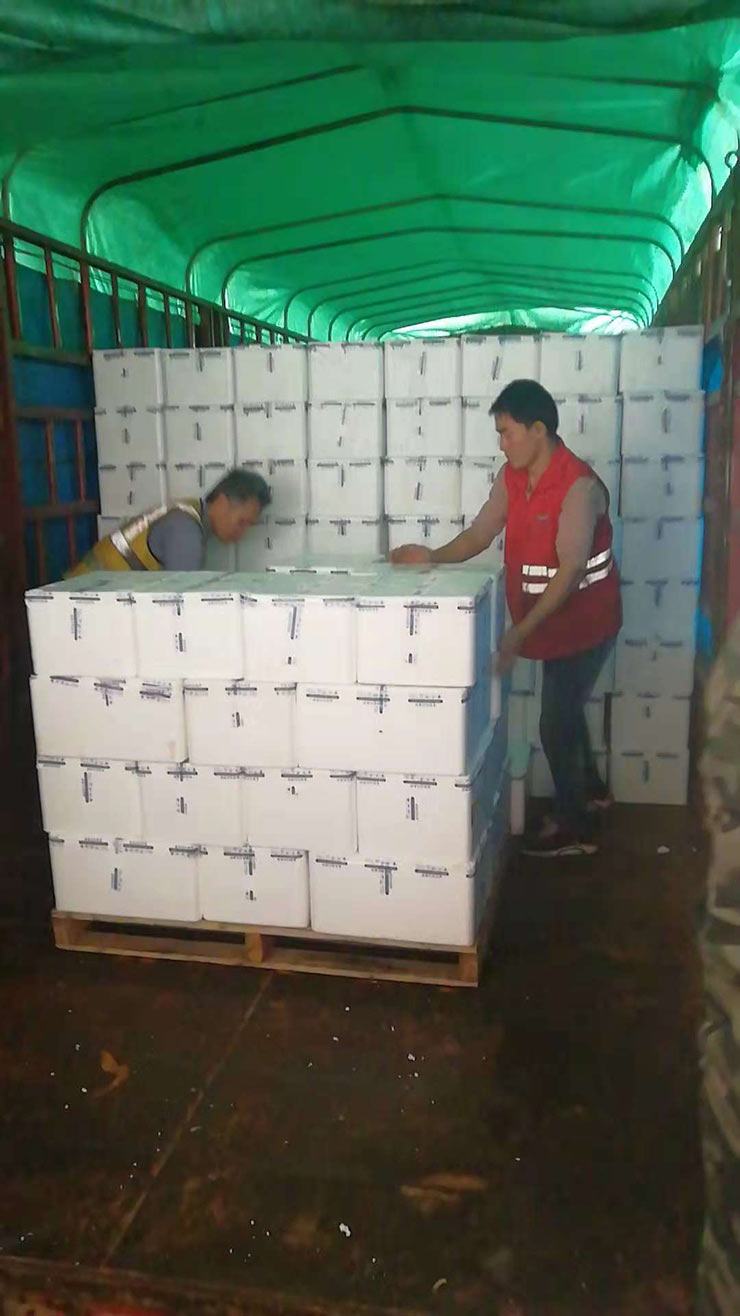 Z6���������ǲ�(�й���)���޹�˾����