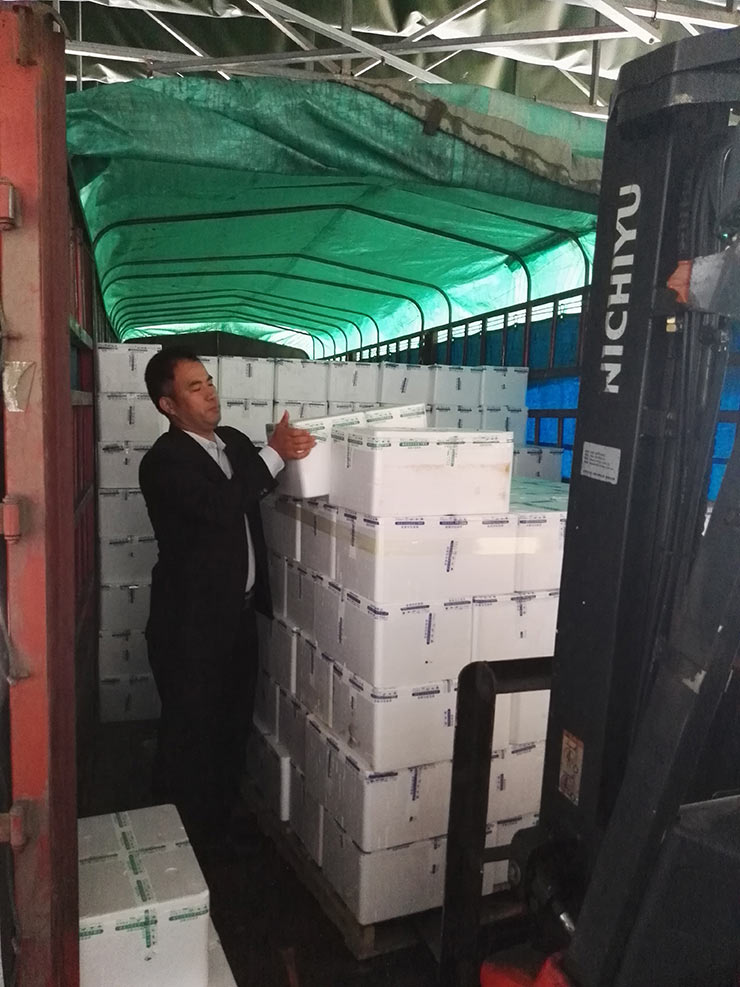 Z6���������ǲ�(�й���)���޹�˾����