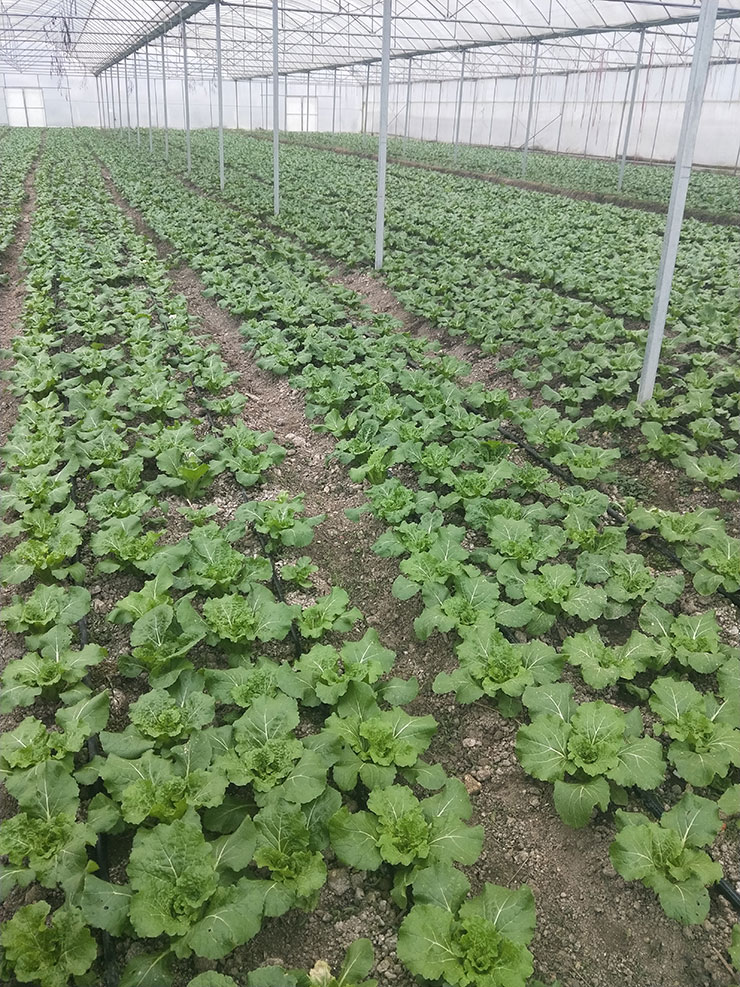 Z6���������ǲ�(�й���)���޹�˾����