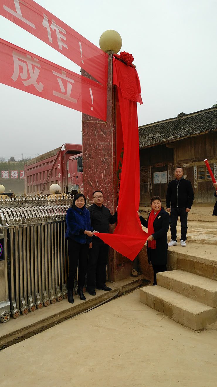 Z6���������ǲ�(�й���)���޹�˾����