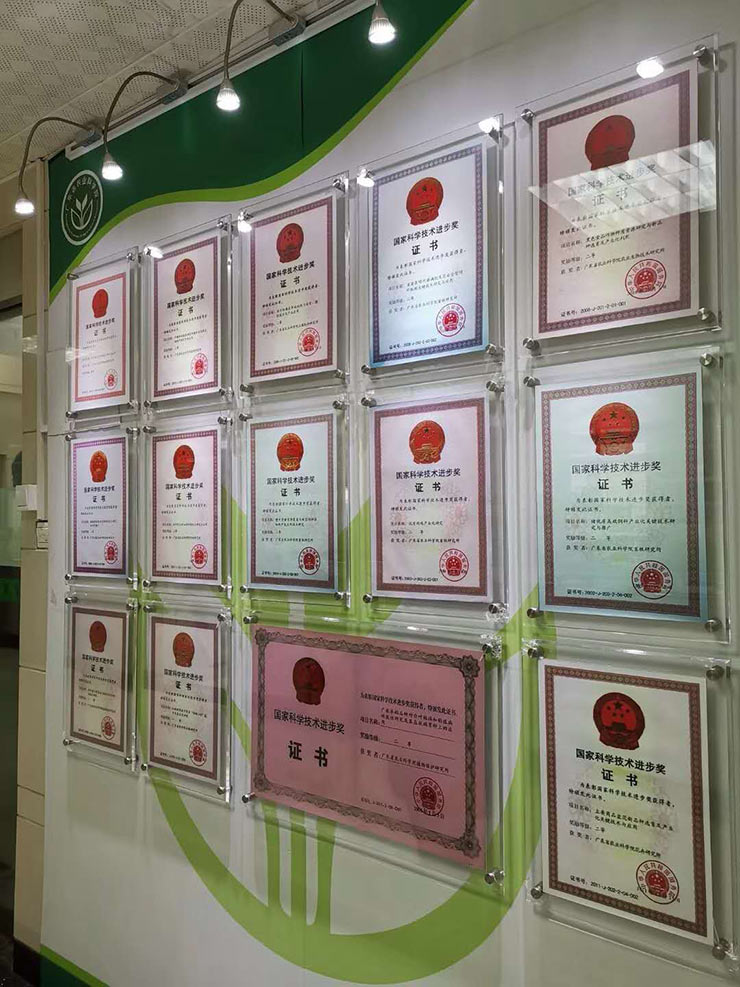 Z6���������ǲ�(�й���)���޹�˾����