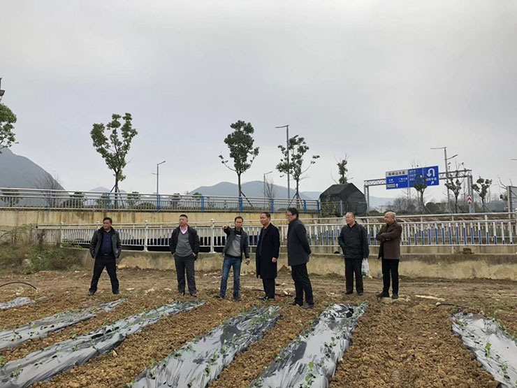 Z6���������ǲ�(�й���)���޹�˾����