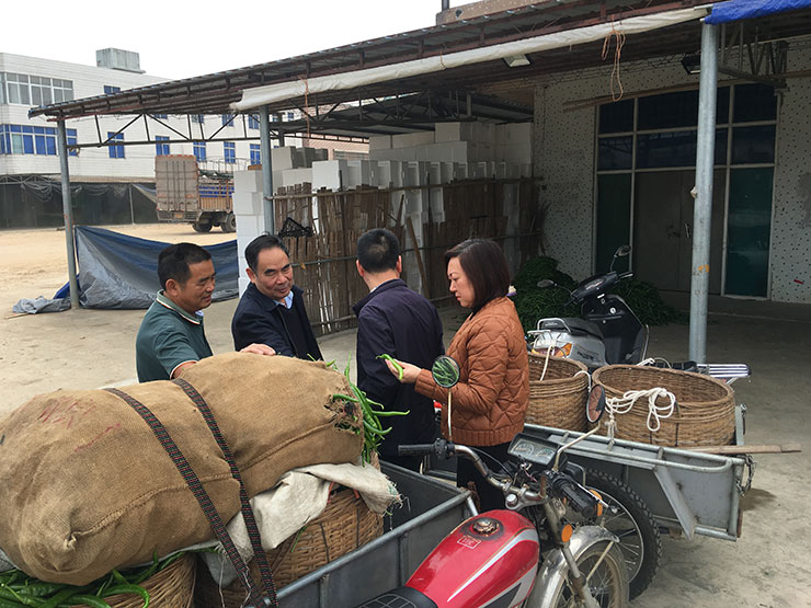 Z6���������ǲ�(�й���)���޹�˾����