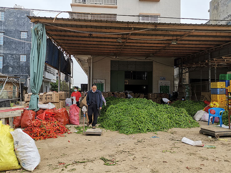 Z6���������ǲ�(�й���)���޹�˾����