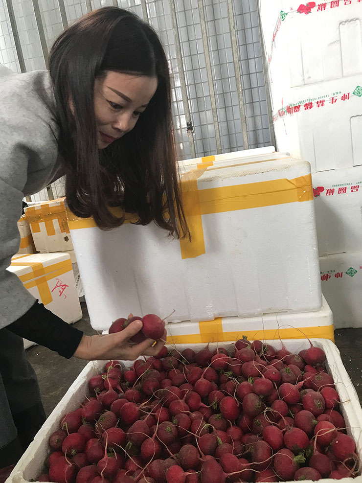 Z6���������ǲ�(�й���)���޹�˾����