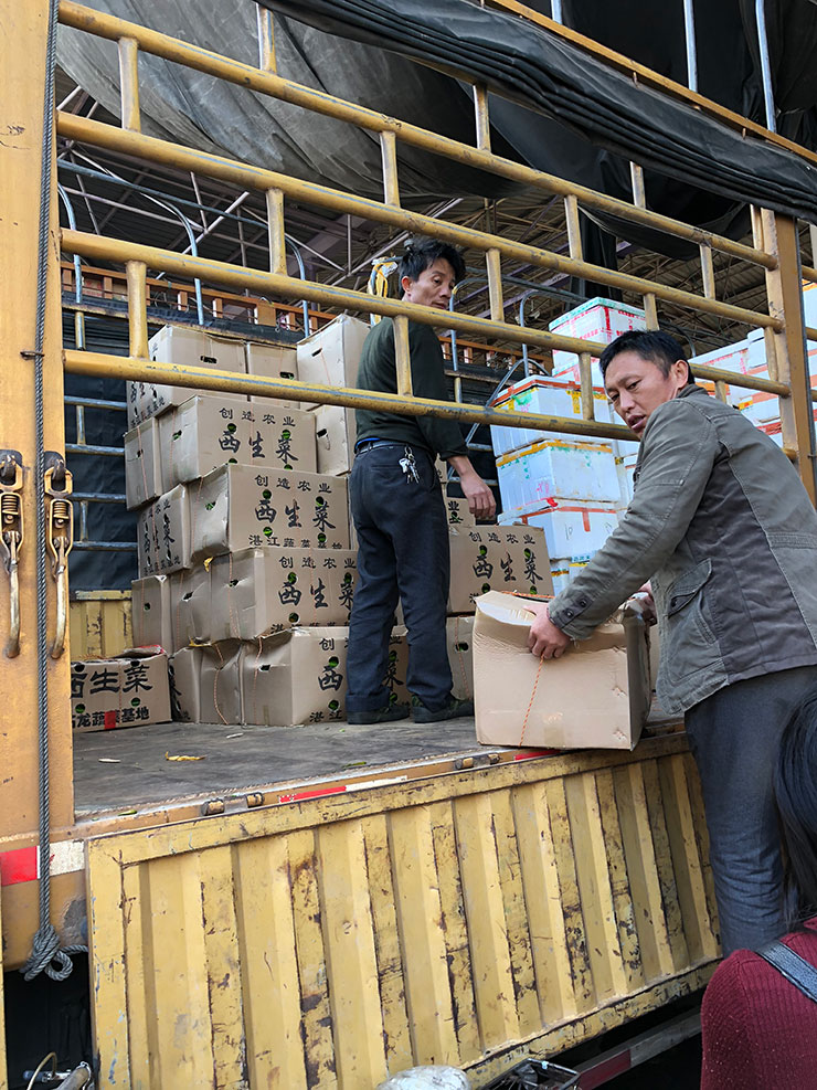 Z6���������ǲ�(�й���)���޹�˾����