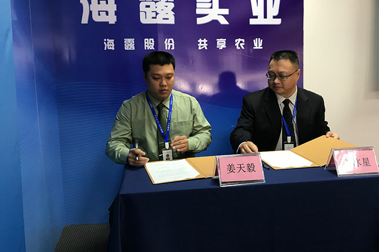 Z6���������ǲ�(�й���)���޹�˾����