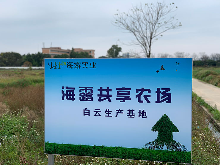 Z6���������ǲ�(�й���)���޹�˾����