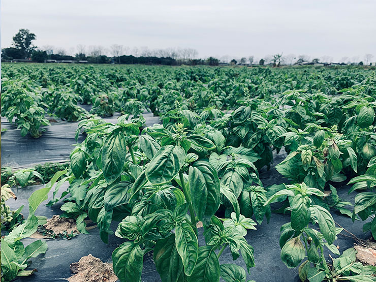 Z6���������ǲ�(�й���)���޹�˾����