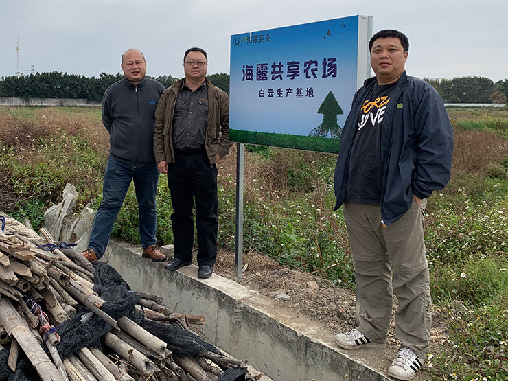 Z6���������ǲ�(�й���)���޹�˾����