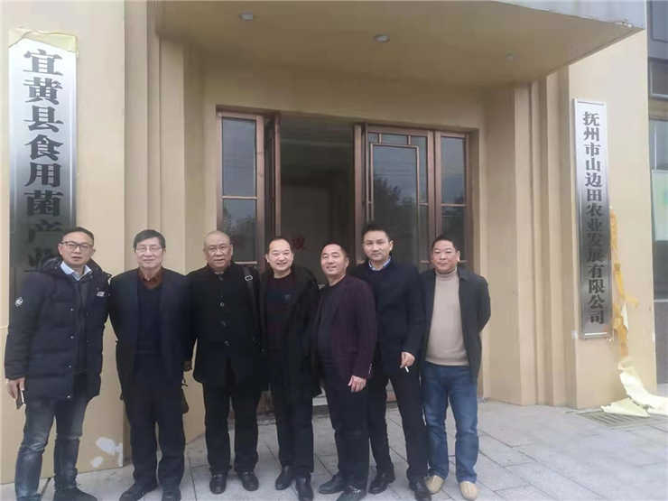 Z6���������ǲ�(�й���)���޹�˾����