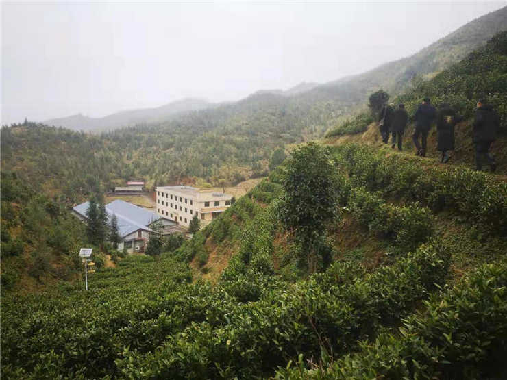 Z6���������ǲ�(�й���)���޹�˾����