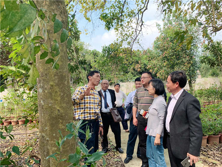 Z6���������ǲ�(�й���)���޹�˾����