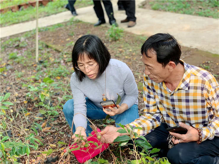 Z6���������ǲ�(�й���)���޹�˾����