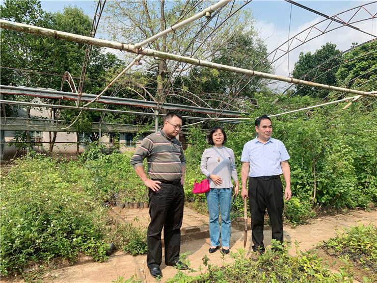 Z6���������ǲ�(�й���)���޹�˾����