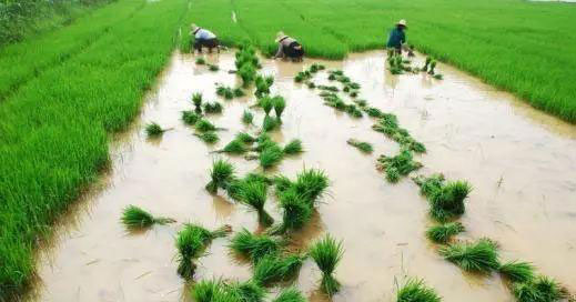 Z6���������ǲ�(�й���)���޹�˾����