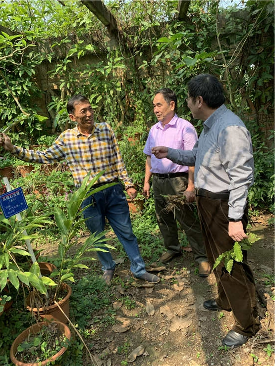 Z6���������ǲ�(�й���)���޹�˾����