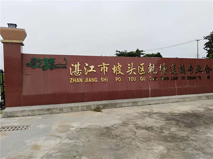 Z6���������ǲ�(�й���)���޹�˾����