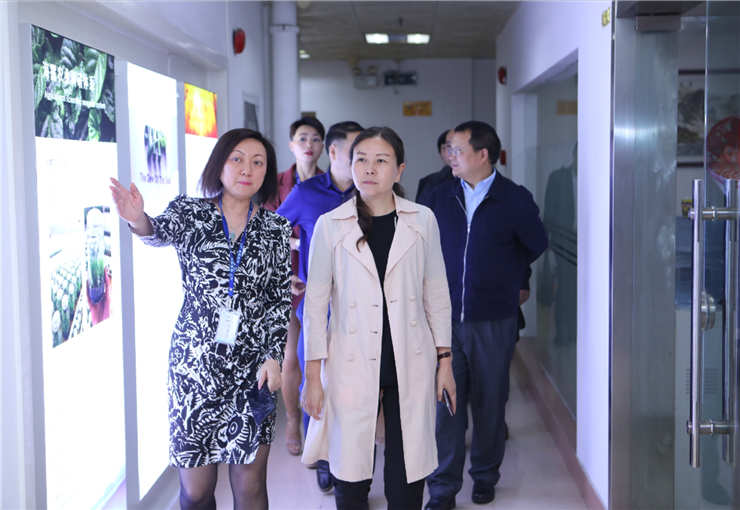 Z6���������ǲ�(�й���)���޹�˾����