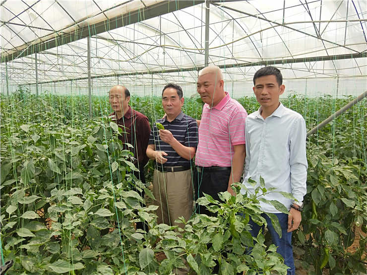 Z6���������ǲ�(�й���)���޹�˾����