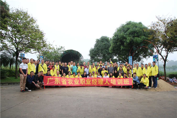 Z6���������ǲ�(�й���)���޹�˾����