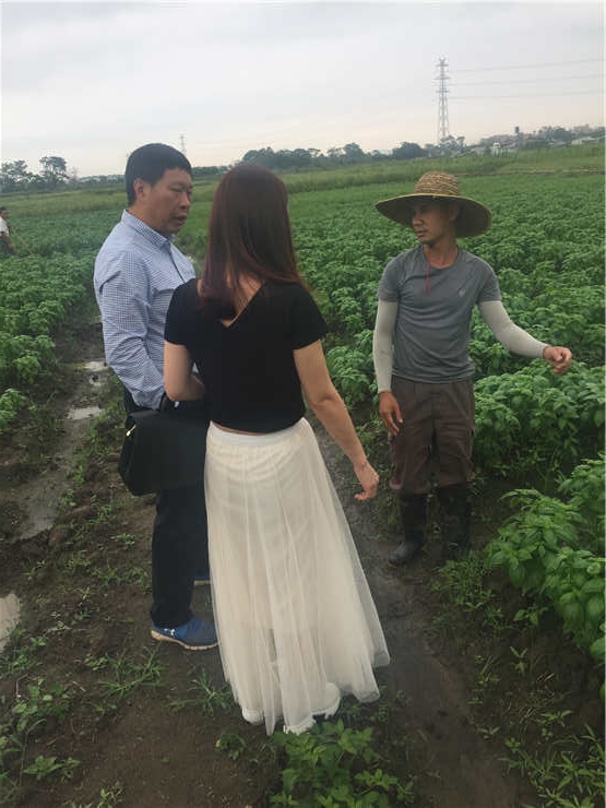 Z6���������ǲ�(�й���)���޹�˾����