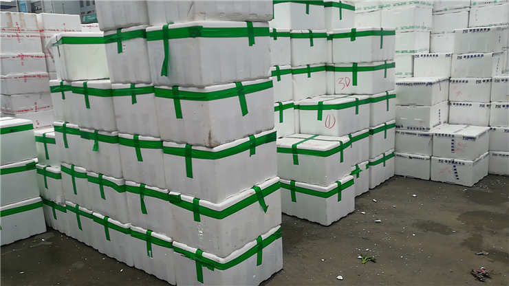 Z6���������ǲ�(�й���)���޹�˾����