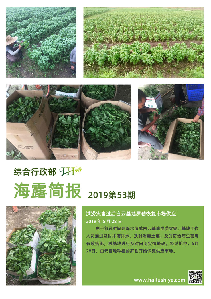 Z6���������ǲ�(�й���)���޹�˾����