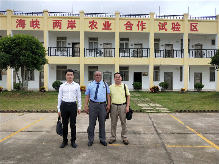 Z6���������ǲ�(�й���)���޹�˾����