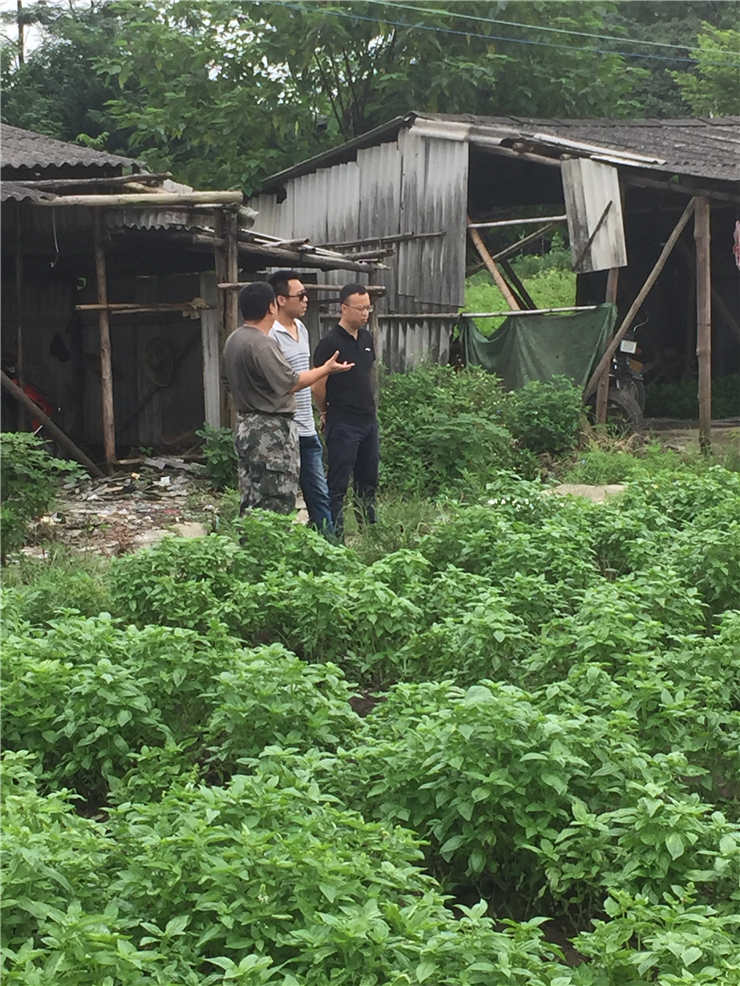 Z6���������ǲ�(�й���)���޹�˾����