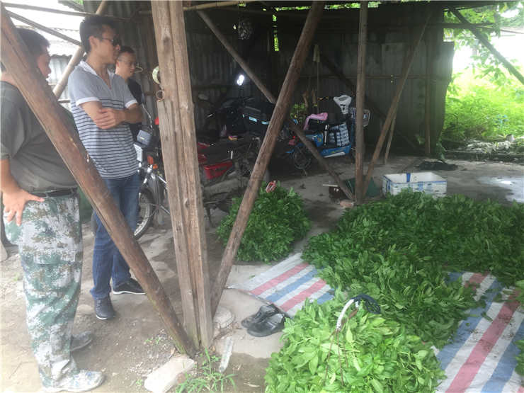 Z6���������ǲ�(�й���)���޹�˾����