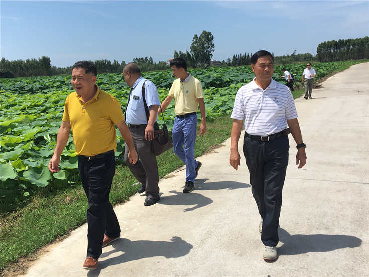 Z6���������ǲ�(�й���)���޹�˾����