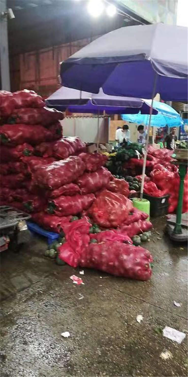 Z6���������ǲ�(�й���)���޹�˾����