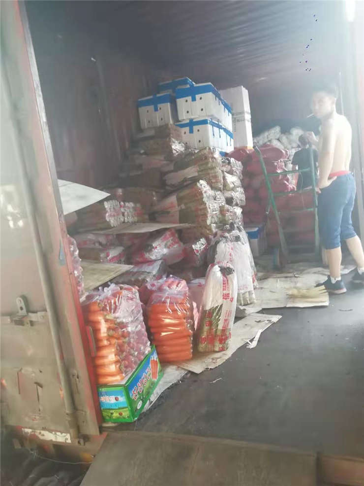 Z6���������ǲ�(�й���)���޹�˾����