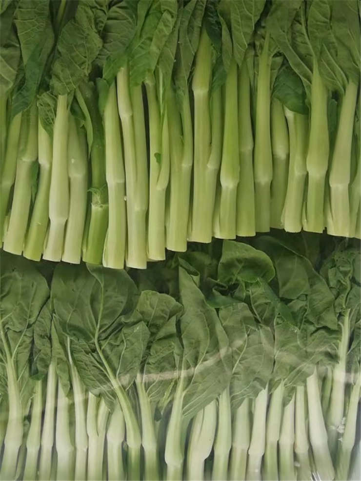 Z6���������ǲ�(�й���)���޹�˾����