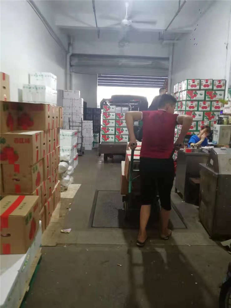 Z6���������ǲ�(�й���)���޹�˾����