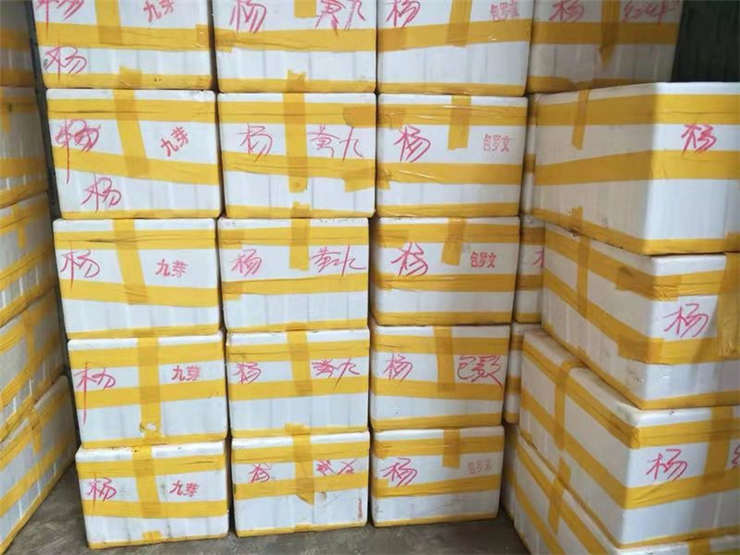 Z6���������ǲ�(�й���)���޹�˾����