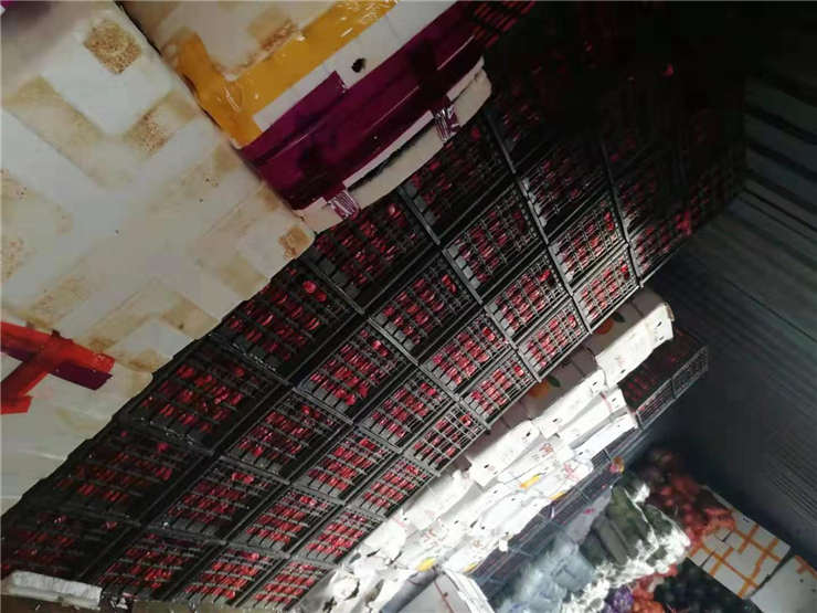 Z6���������ǲ�(�й���)���޹�˾����